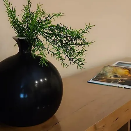 Casa Relax - 500 Mt. Dal Centro * 都灵